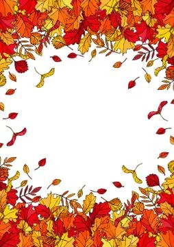 Autumn Background Layout Frame with Falling Leaves. Poster or Card. Maple Row Stock Illustration