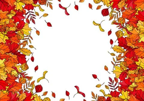 Autumn Background Layout Frame with Falling Leaves. Poster or Card. Maple Row Stock Illustration