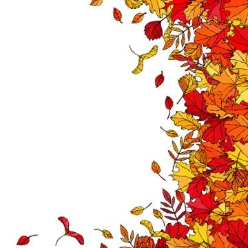 Autumn Background Layout Frame with Falling Leaves. Poster or Card. Maple Row Stock Illustration