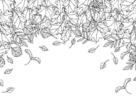 Autumn Background Layout Frame with Falling Leaves. Poster or Card. Maple Row Stock Illustration