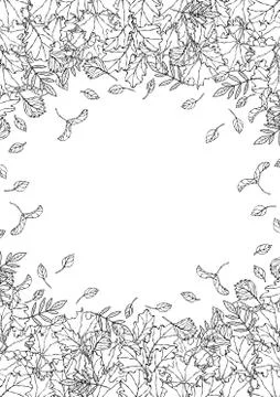 Autumn Background Layout Frame with Falling Leaves. Poster or Card. Maple Row Stock Illustration