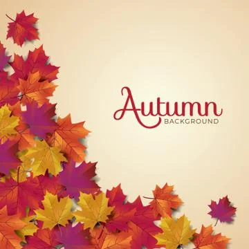 Autumn background layout typography decorate with leaves Stock Illustration