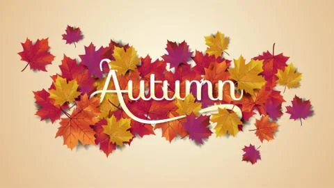 Autumn background layout typography decorate with leaves for greeting promo p Stock Illustration