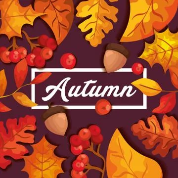 Autumn background with leafs and nuts fruit Stock Illustration