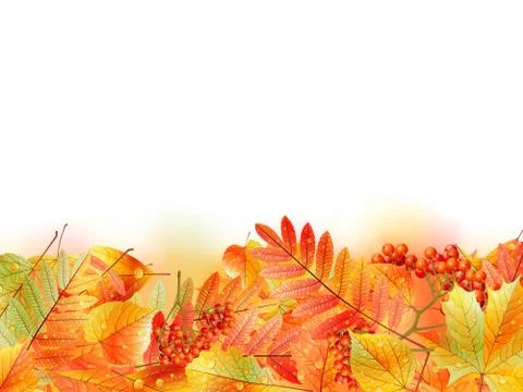Autumn background with leaves. Back to school. Stock Illustration