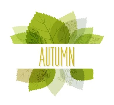 Autumn background with leaves Stock Illustration