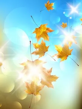 Autumn background with leaves. Stock Illustration