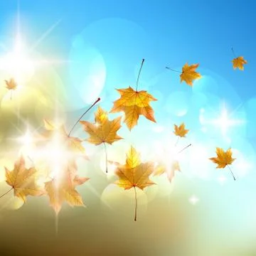 Autumn background with leaves. Stock Illustration