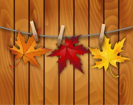 Autumn background with leaves. Stock Illustration