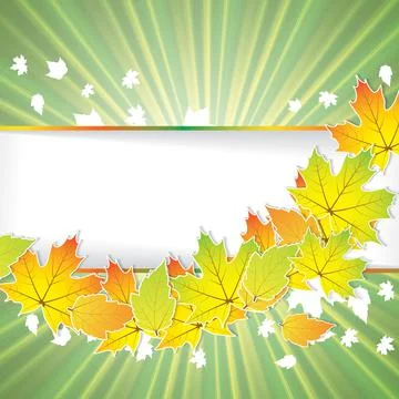 Autumn background with leaves Stock Illustration