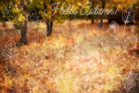 Autumn background with leaves vector Stock Illustration