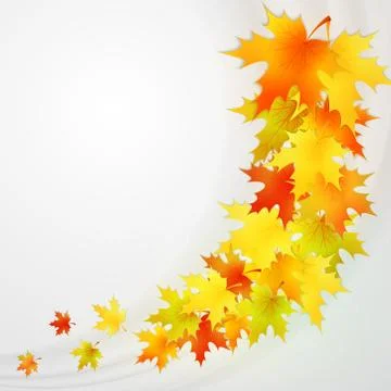 Autumn background with leaves. Vector nature background. Stock Illustration