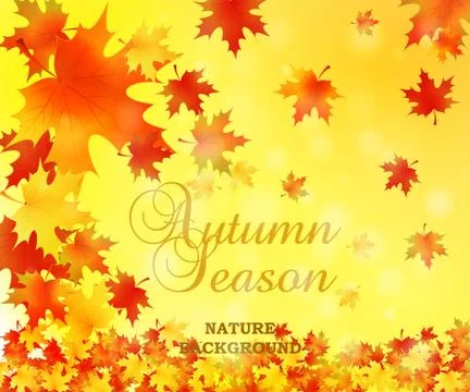 Autumn background with leaves. Vector nature background. Stock Illustration