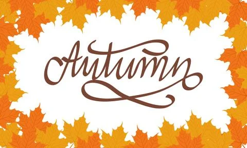 Autumn background. Maple leaves frame Stock Illustration