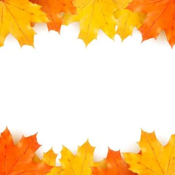 Autumn background with maple leaves Stock Illustration