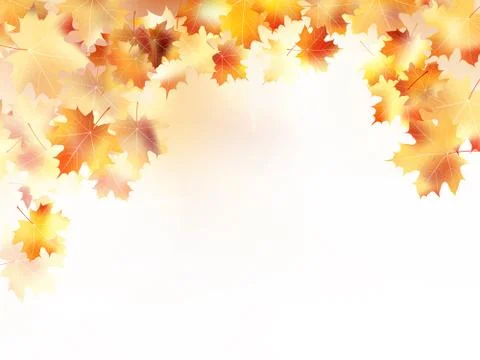 Autumn background with maple leaves. plus EPS10 Stock Illustration