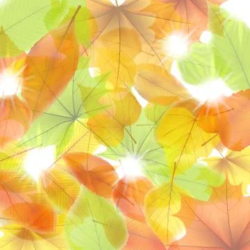Autumn background with maple leaves. plus EPS10 Illustrazione stock