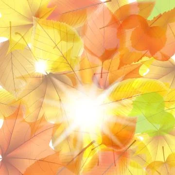 Autumn background with maple leaves. plus EPS10 Stock Illustration
