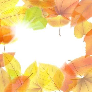 Autumn background with maple leaves. plus EPS10 Stock Illustration