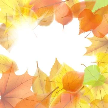 Autumn background with maple leaves. plus EPS10 Stock Illustration