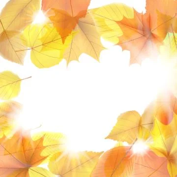 Autumn background with maple leaves. plus EPS10 Stock Illustration