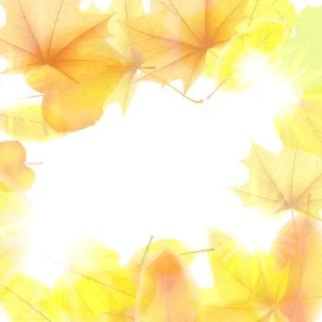 Autumn background with maple leaves. plus EPS10 Stock Illustration
