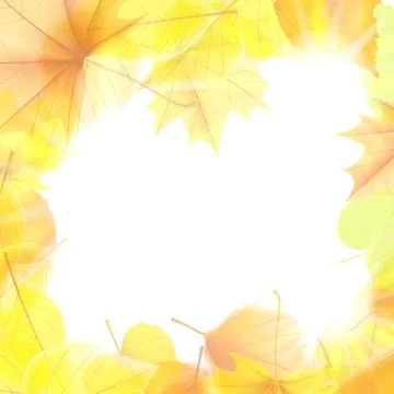 Autumn background with maple leaves. plus EPS10 Stock Illustration