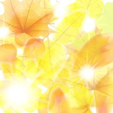Autumn background with maple leaves. plus EPS10 Stock Illustration