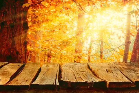Autumn background nature. Tabletop with falling leaves. Autumn table with for Stock Photos