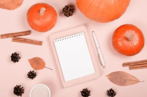 Autumn background with notepad, orange pumpkin, cinnamon and leaves Stock Photos
