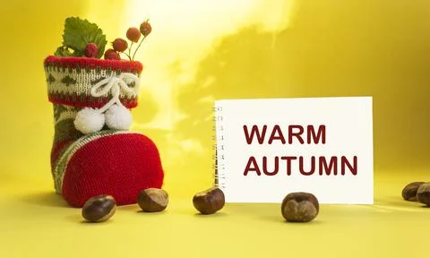 Autumn background. Notepad with text phrase Warm autumn and dried plant lying Stock Photos