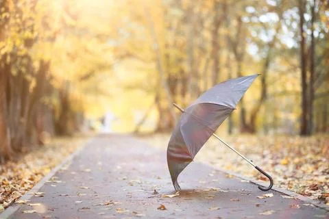 Autumn background in the park Stockfoto's