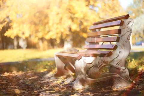 Autumn background in the park Stockfoto's