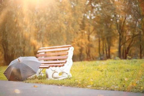 Autumn background in the park 스톡 사진