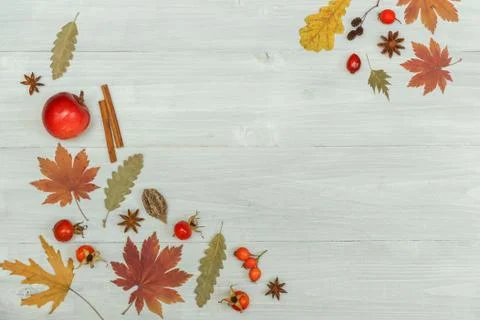 Autumn background. Pattern of dried leaves, rosehip berries, anise, cinnamon and Stock Photos