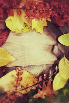 Autumn background Stock Photos