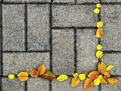 Autumn background Stock Photos