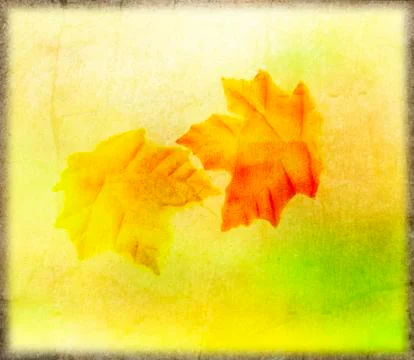 Autumn background Stock Photos