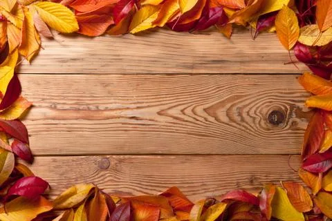 Autumn background Stock Photos