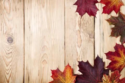 Autumn background Stock Photos