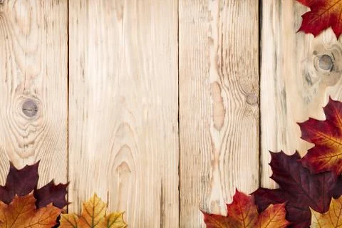Autumn background Stock Photos