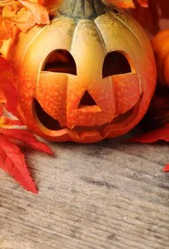 Autumn background Stock Photos