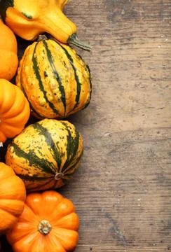 Autumn background Stock Photos