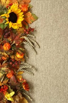 Autumn background Stock Photos