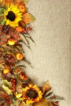 Autumn background Stock Photos