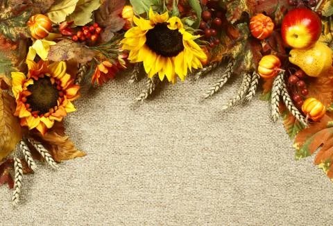 Autumn background Stock Photos