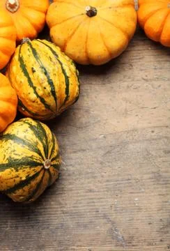 Autumn background Stock Photos