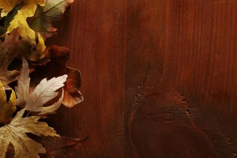 Autumn background Stock Photos