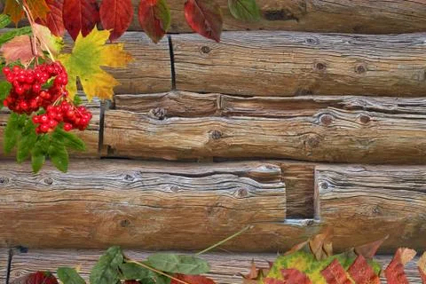 Autumn background Stock Photos