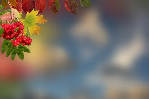 Autumn background Stock Photos